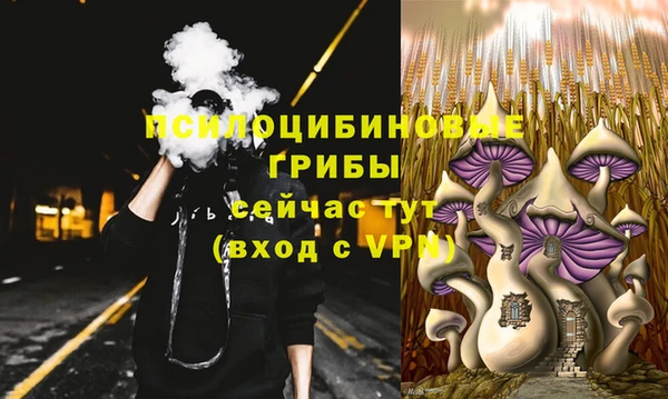 СК Нея