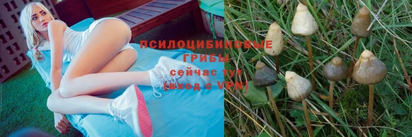 2c-b Нефтекумск