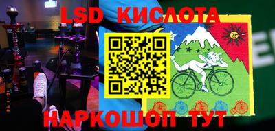 шишки Абакан