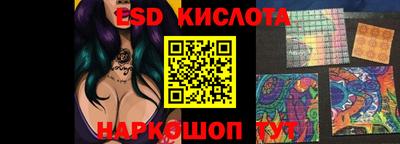шишки Абакан