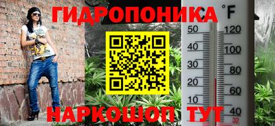 скорость Гатчина