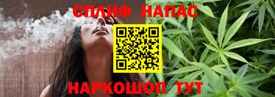 тгк Гай