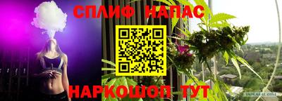 скорость Гатчина