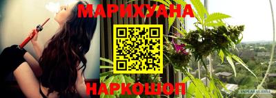 тгк Гай