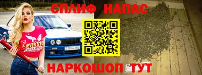 тгк Гай