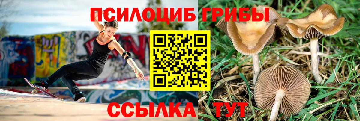 Галлюциногенные грибы Magic Shrooms Алейск