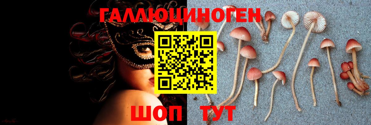 Псилоцибиновые грибы ЛСД Алейск