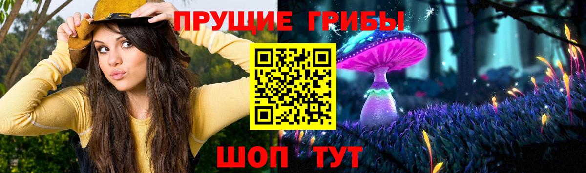 Псилоцибиновые грибы Cubensis Алейск