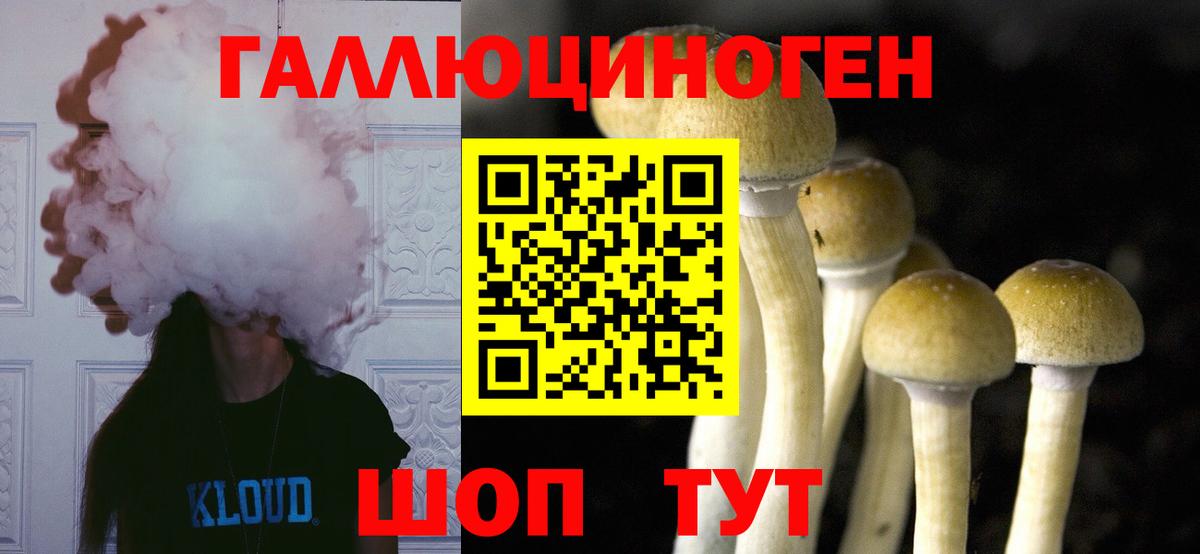 Алейск  Галлюциногенные грибы GOLDEN TEACHER  Вход с VPN  Псилоцибиновые грибы Magic Shrooms 